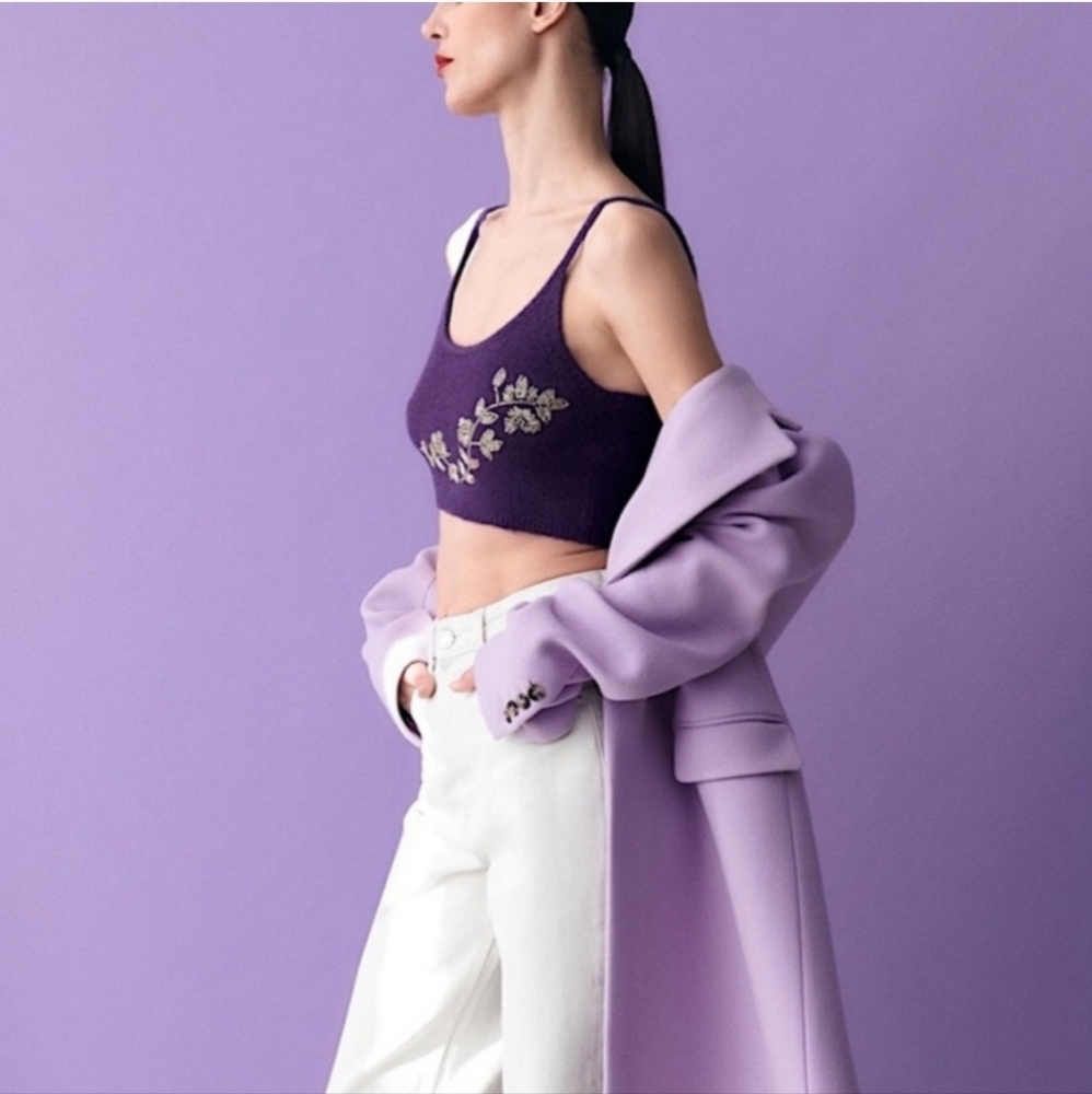 🌞NWOT ZARA BEADED KNIT CROP TOP PURPLE WOOL BLEND BLOGGERS FAV SMALL - Picture 5 of 13